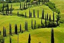 Montalcino, Pienza and Montepulciano Tour